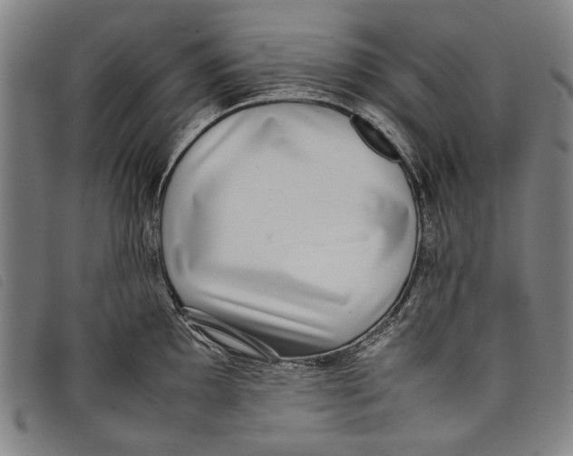 X0000097821097200804041353