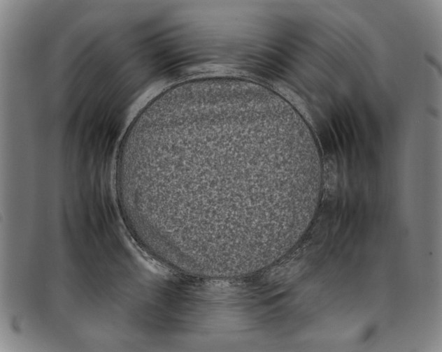 X0000097821098200804041353