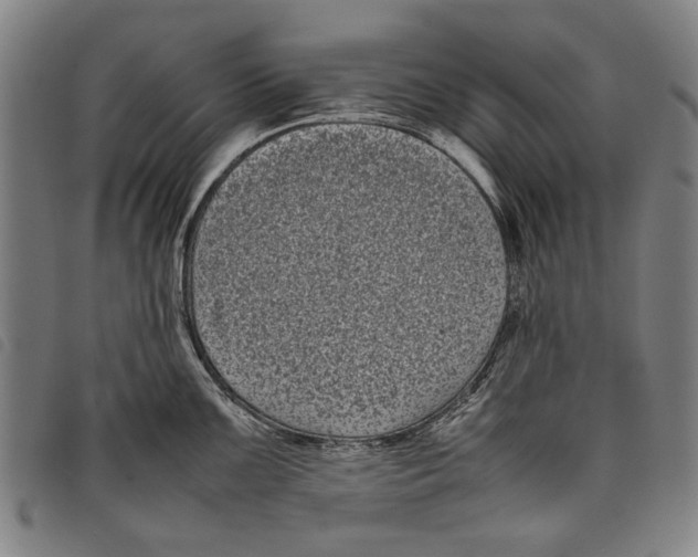 X0000097821099200804041353