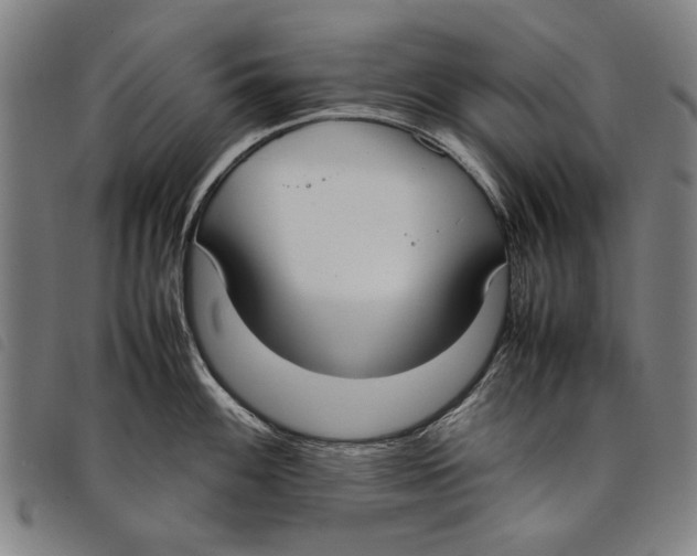 X0000097821100200804041353