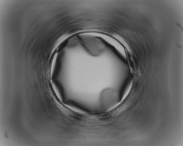 X0000097821101200804041353