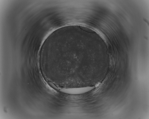 X0000097821102200804041353