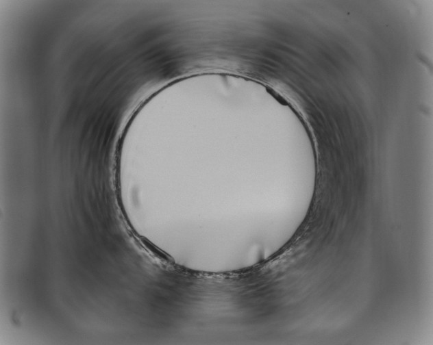 X0000097821104200804041353