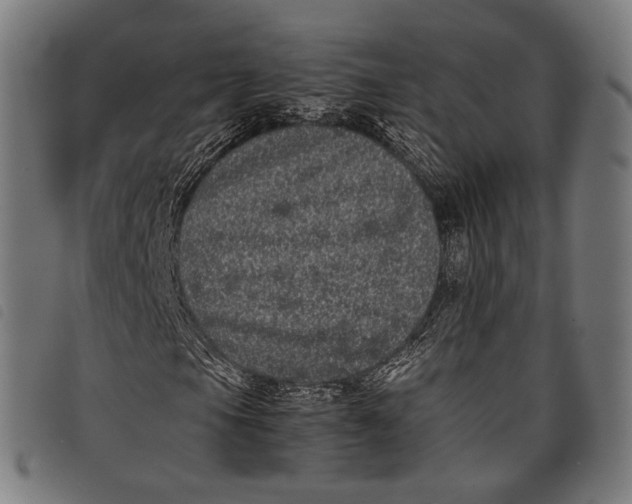 X0000097821105200804041352