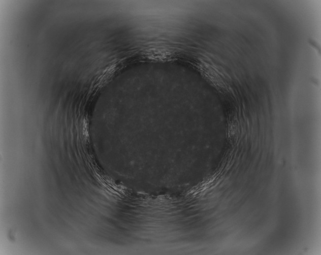 X0000097821106200804041352