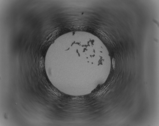 X0000097821107200804041352