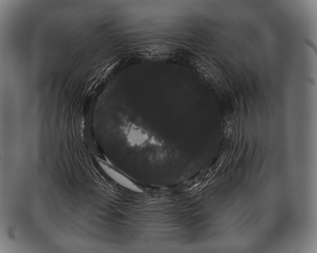 X0000097821108200804041352