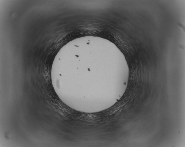 X0000097821109200804041352