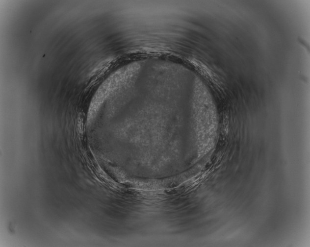 X0000097821110200804041352