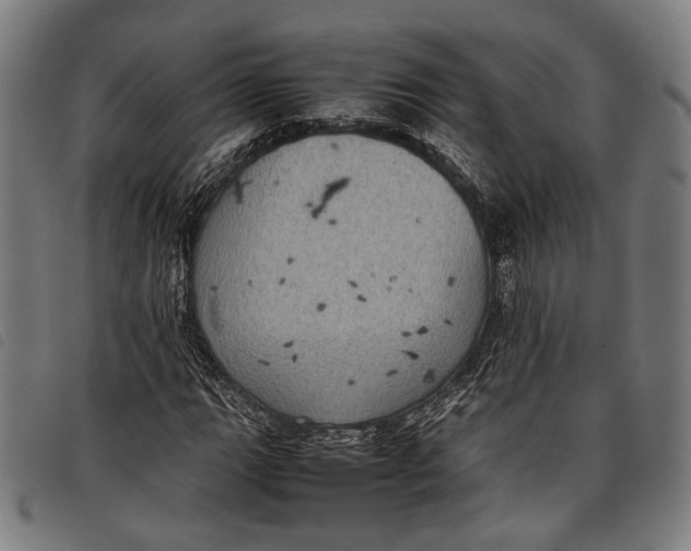 X0000097821111200804041352