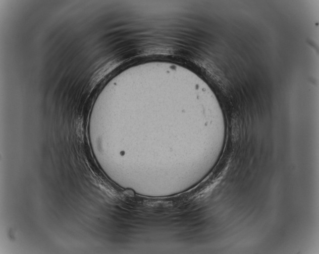 X0000097821113200804041352