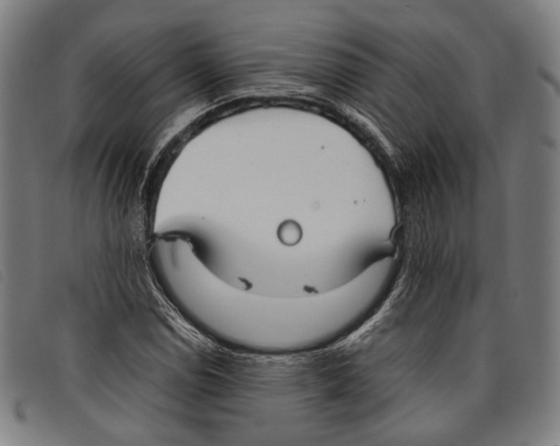 X0000097821114200804041352