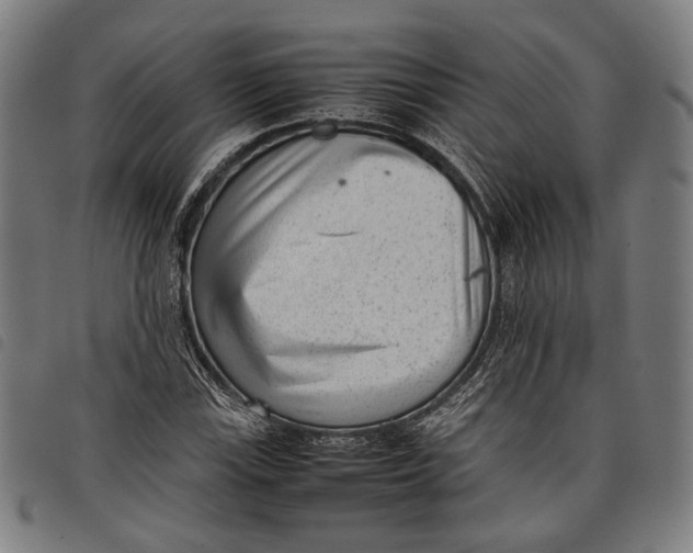 X0000097821115200804041352