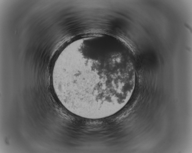 X0000097821117200804041352