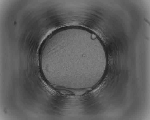 X0000097821118200804041352