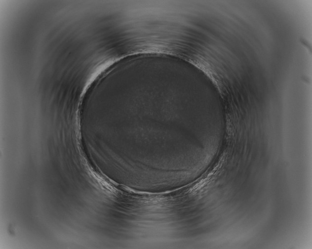 X0000097821120200804041352