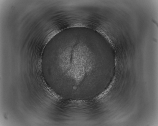 X0000097821121200804041352