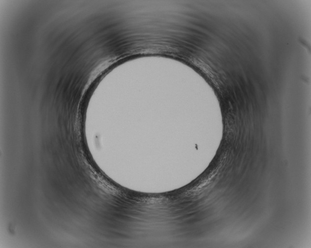 X0000097821122200804041352