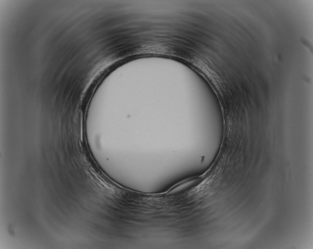 X0000097821123200804041352