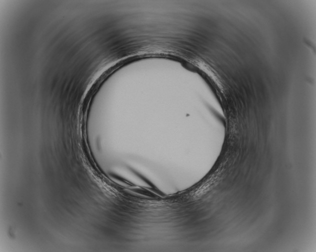 X0000097821124200804041352