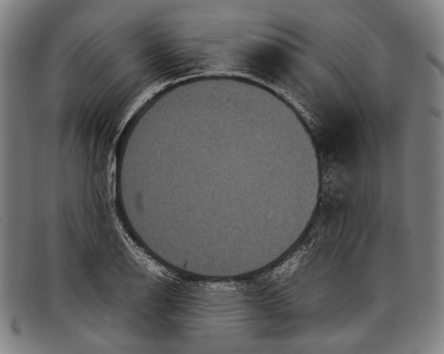 X0000097821126200804041352