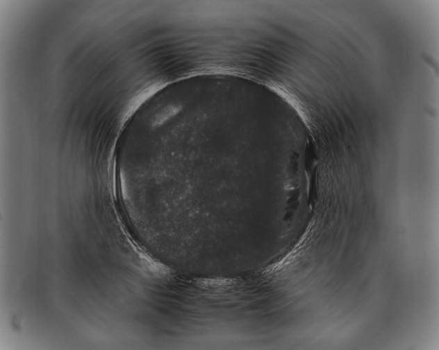 X0000097821127200804041352