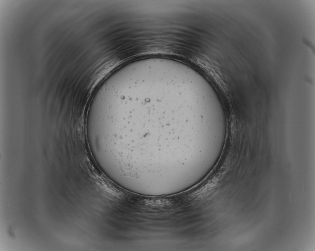 X0000097821129200804041352