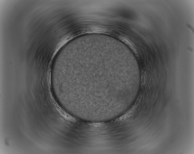 X0000097821130200804041352