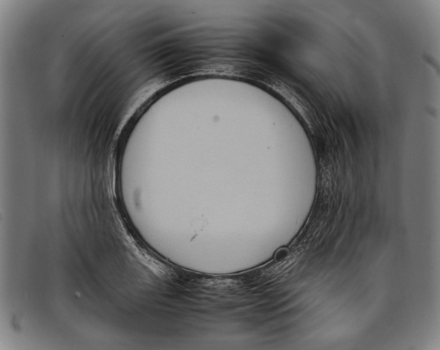 X0000097821131200804041352