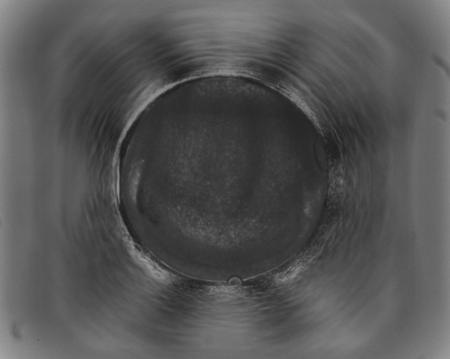 X0000097821132200804041352