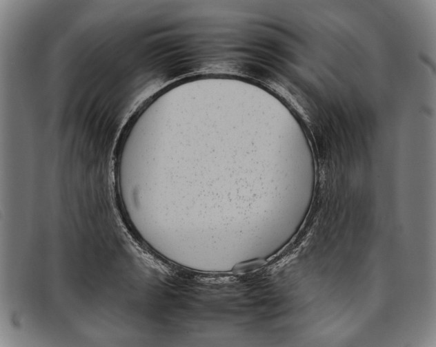 X0000097821133200804041352