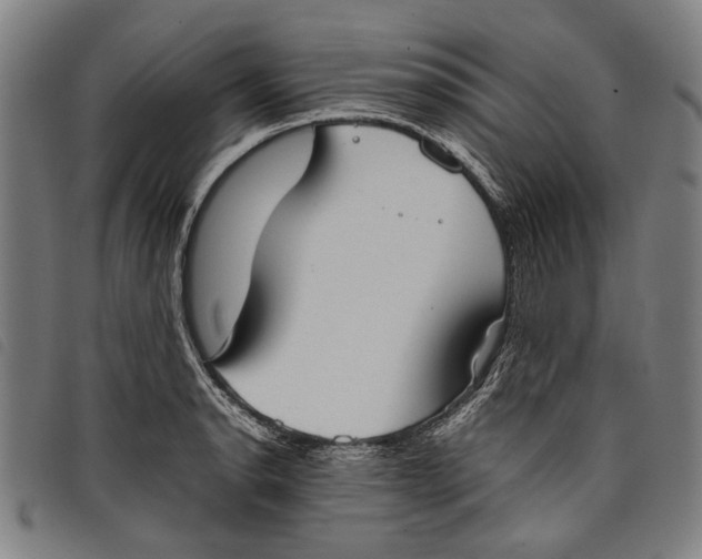 X0000097821134200804041352