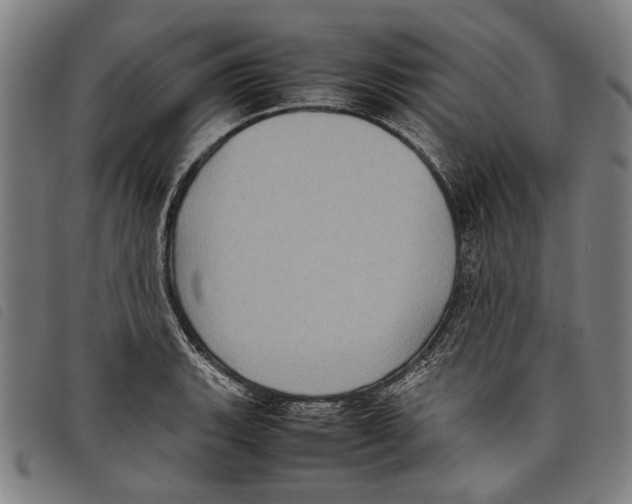 X0000097821135200804041352