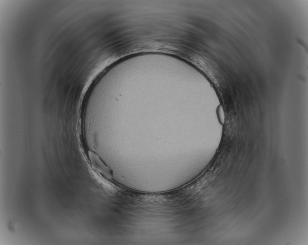 X0000097821136200804041352