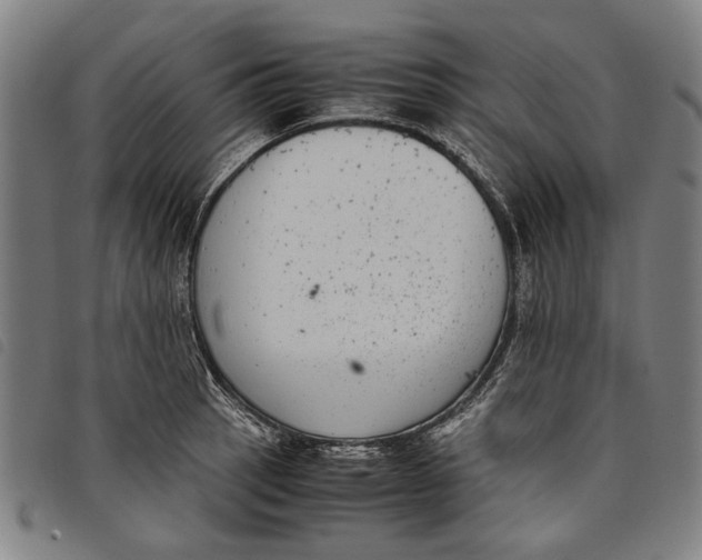 X0000097821137200804041353