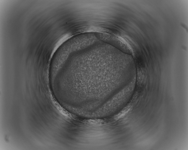 X0000097821138200804041353