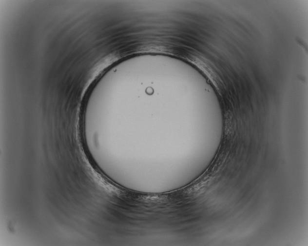 X0000097821139200804041353