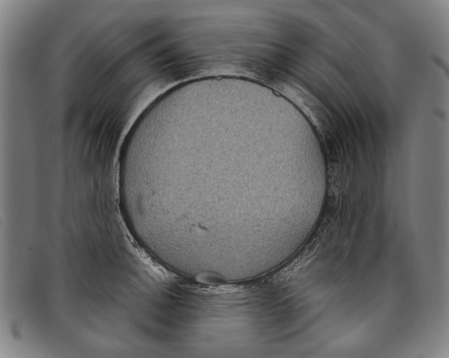 X0000097821140200804041353