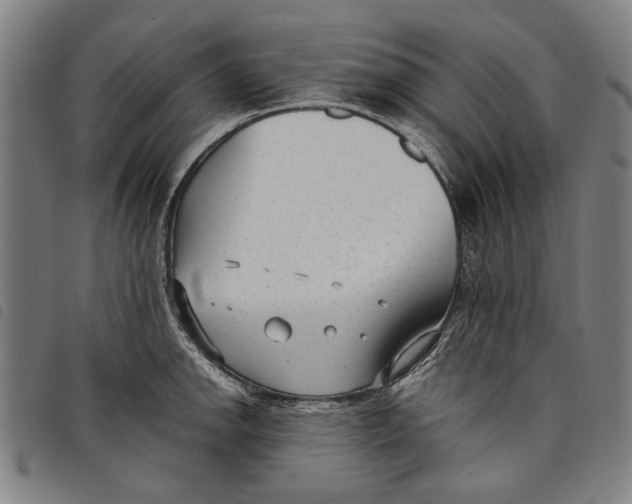 X0000097821142200804041353