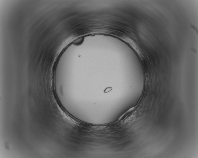 X0000097821143200804041353