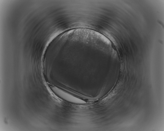 X0000097821144200804041353