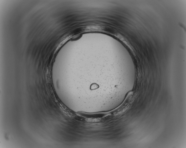 X0000097821145200804041353