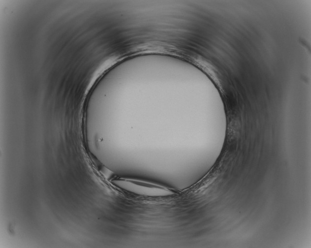 X0000097821146200804041353