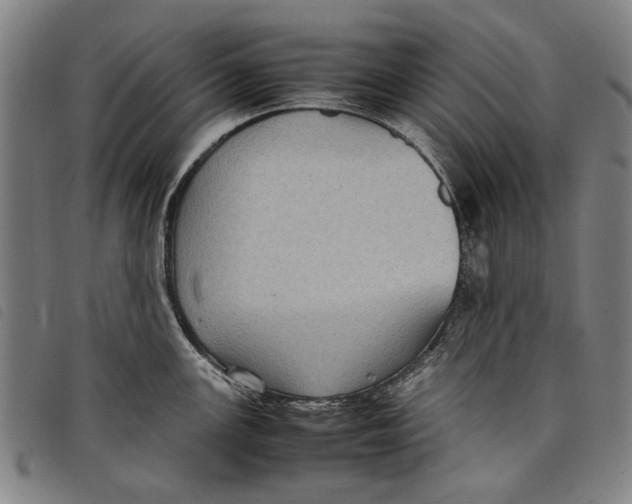 X0000097821147200804041353