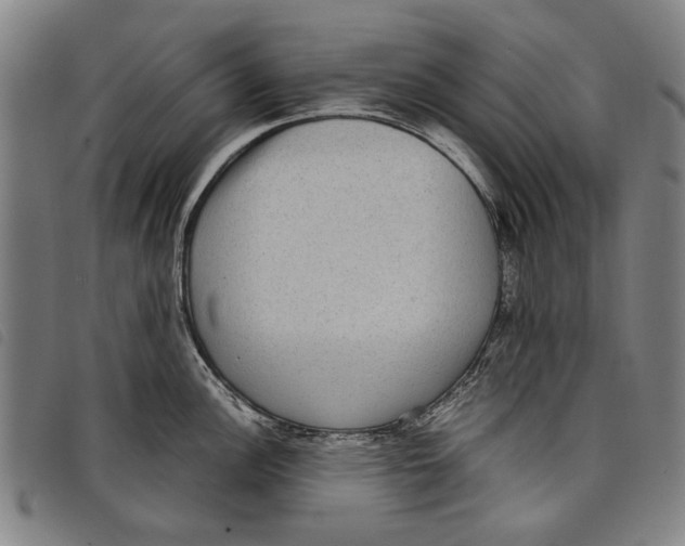 X0000097821148200804041353