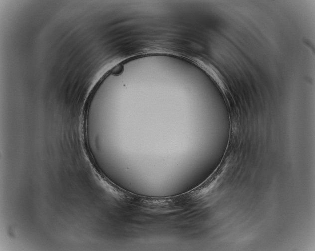 X0000097821149200804041353