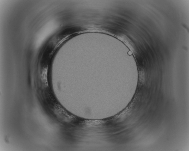 X0000097821150200804041353