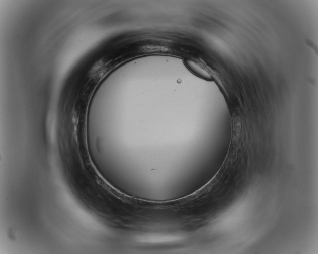 X0000097821151200804041353