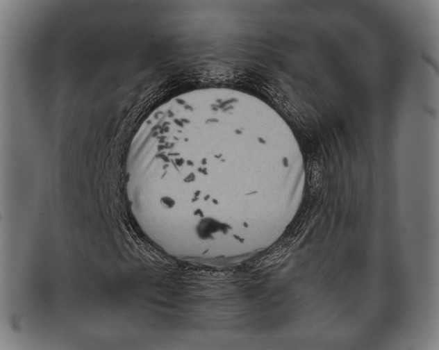 X0000097821153200804041352