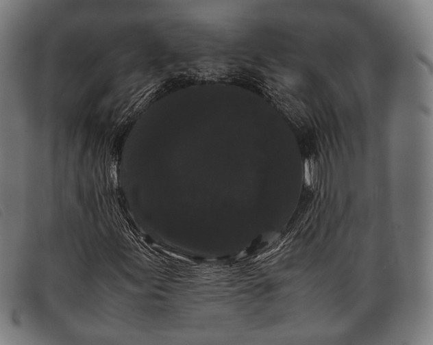 X0000097821155200804041352